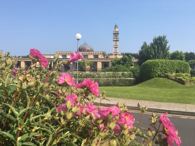 Message to the Community